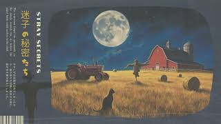 Stray Secrets - Lofi Playlist | Relaxing Moonlit Vibes
