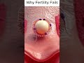 Millions of Sperm… But Only ONE Gets Through. Here's Why #FertilityAwareness #WomensHealth