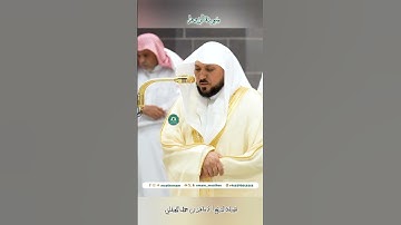 تلاوة خاشعة 🌿 سورة الروم 🌿  #_للشيخ أ.د #ماهر بن حمد #المعيقلي