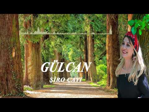 Gülcan Doğan - Şiro Çayı / İlaç Gibi Damar Türkü Uzun Havalar Dertli Ağlatan Türküler