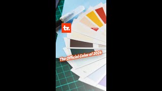 What is 'Peach Fuzz' The Official Color of 2024