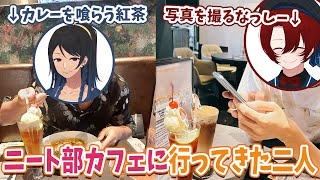 ニート部 紅茶 まとめ売り mqdefault.jpg