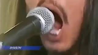 Viral!! Mawang lagu lucu kasih sayang kepada  orang tua