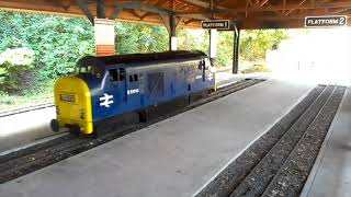 Bickington Steam Railway [Trago Mills] 2014