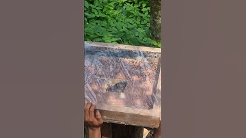 LOG CABIN STINGLESS BEE HIVE 🐝 #shorts #satisfying #newcabin #newlog #trending #viral #2023 #fyp
