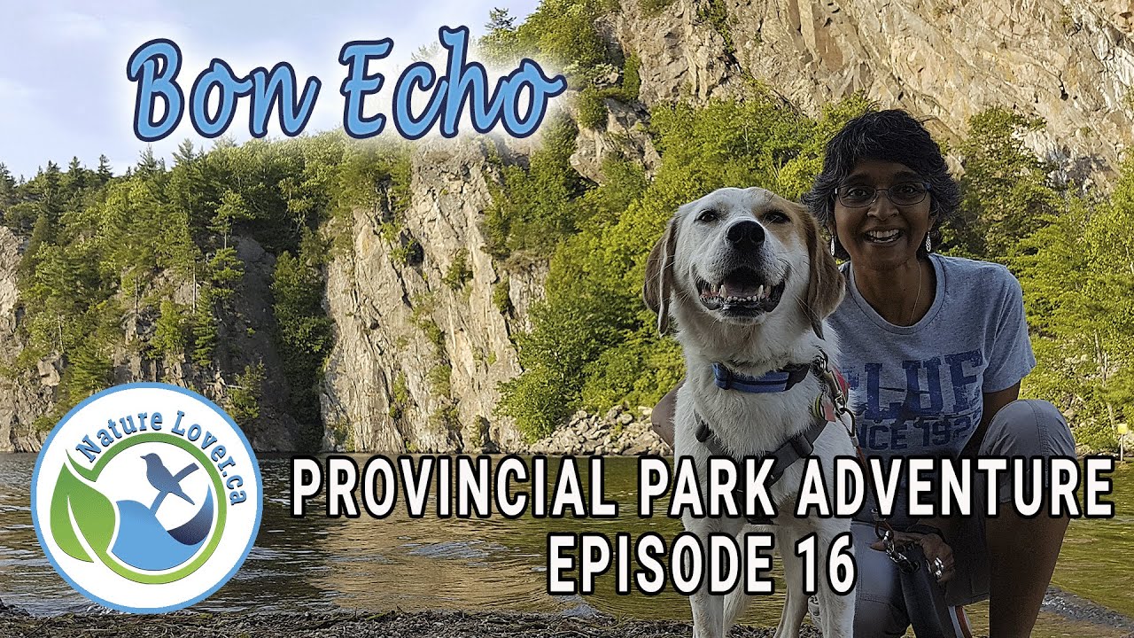 Provincial Park Adventure - Chloe the Foxhound Loves Bon Echo - Ep 16