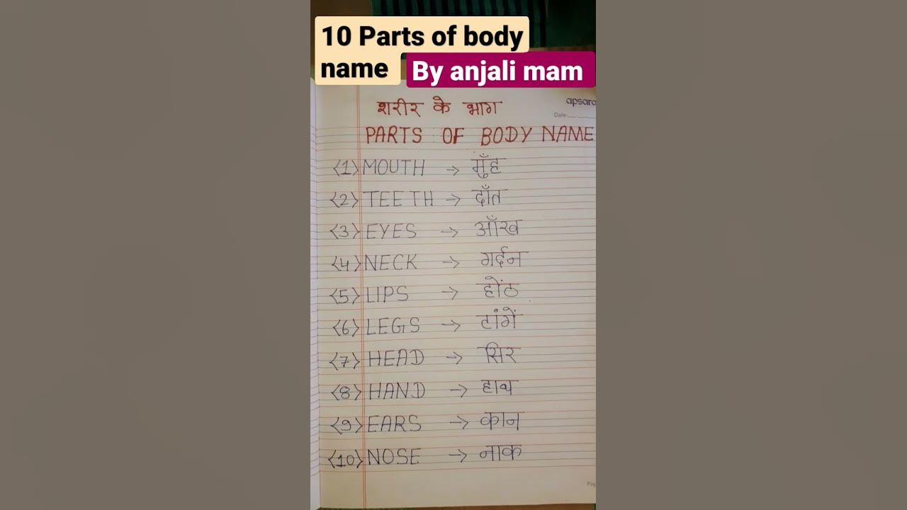 10 Parts Of Body Name Hindi And English Me Short Video Anjali human-body-parts-name-in-hindi-and-english-with-pictures-functions
