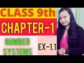 CLASS 9th  NUMBER SYSTEM (Ex. 1.1)