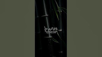 قرآن كريم راحة نفسية وسكينة 🤍🌹 #اكسبلور #يارب #المصحف #راحة_نفسية