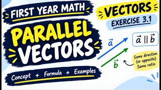 Parallel Vectors | Inter 1st Year Math | Vectors Exercise 3.1