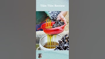 Đây là loài ong không có ngòi kim #short #shorts #viralvideo