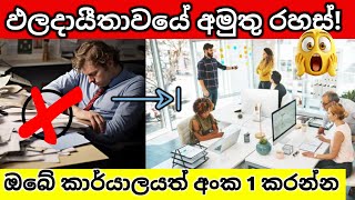 කාර්යාල ඵලදායීතාව ජයගන්නා රහස් 10 | 10 Zero-Cost Office Productivity Hacks sinhala