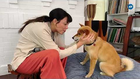 Real People, Real Stories, Real Protection