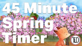 45 Minute Spring Timer (2022)