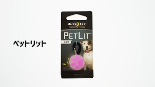 犬のお散歩用ライト【ペットリット（PET LIT）】