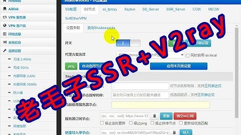 【IT常识】老毛子固件SSR+V2ray简单解说。适合新手