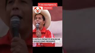 Pedro Castillo Terrones: Renunció a su sueldo dorado?