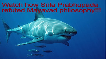 SPL 0078) Watch how Srila Prabhupada refuted Mayavad philosophy!!!