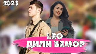 Лео Равшан дили -  дардмандм 2023 leo.  #новаямузыка #music #keşfet #музыка