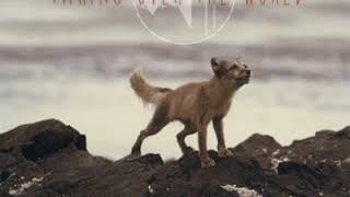 Famous (Unofficial Closed Captioned English) Coyote Theory - Taking Over the World Profile