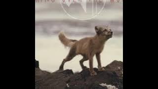 (Unofficial Closed Captioned English) Coyote Theory - Taking Over the World