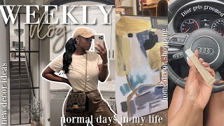 new home decor, taking life slow &amp; Dior’s 2nd grooming | weekly vlog