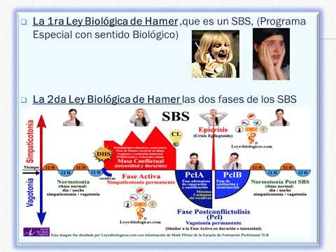 QUE ES LA MEDICINA GERMANICA