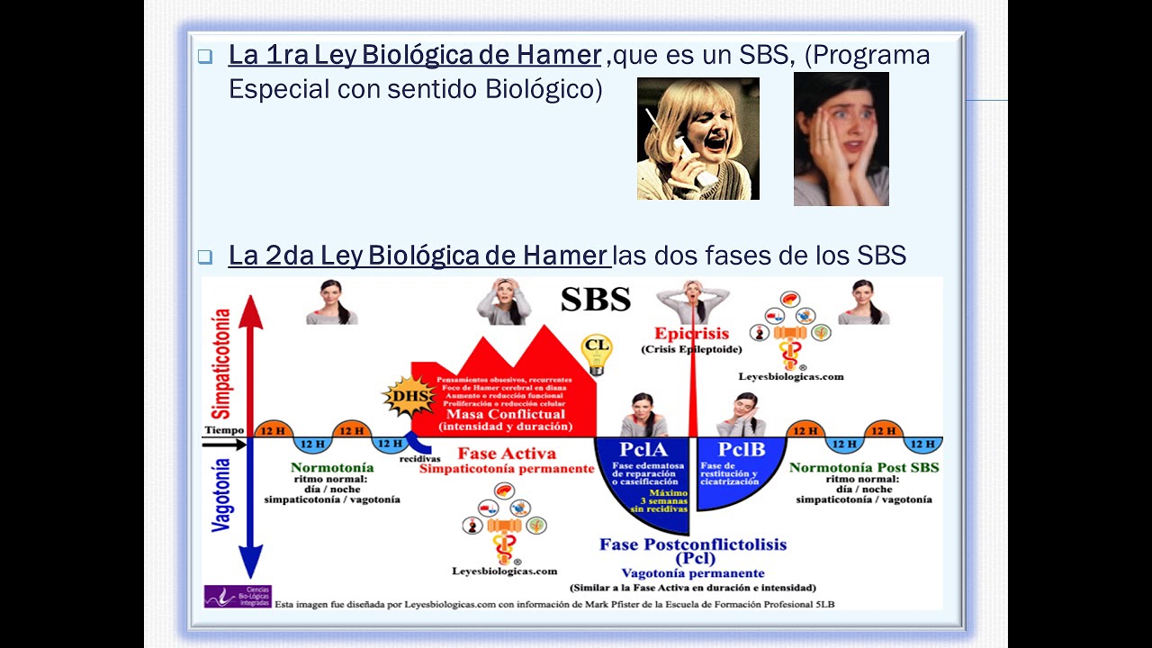 QUE ES LA MEDICINA GERMANICA — Transcript