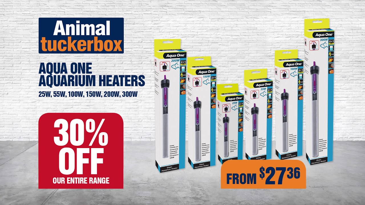 Animal Tuckerbox YouTube