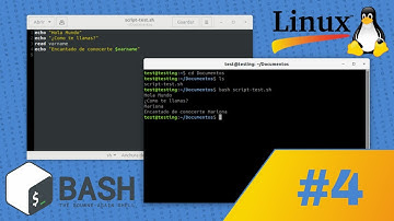 📌 Bash en Linux desde Cero [#4] - Permisos
