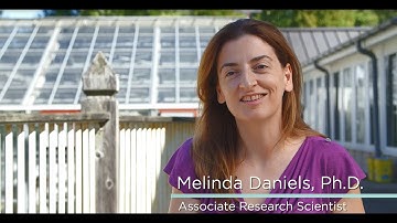 Water Science Careers: Fluvial Geomorphology