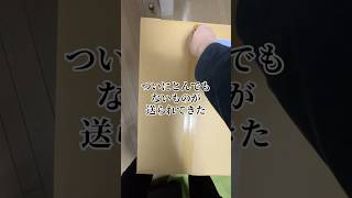 ちい沼リヴァイ #リヴァイ #ちいかわ #ガチャガチャ #chiikawa #声真似
