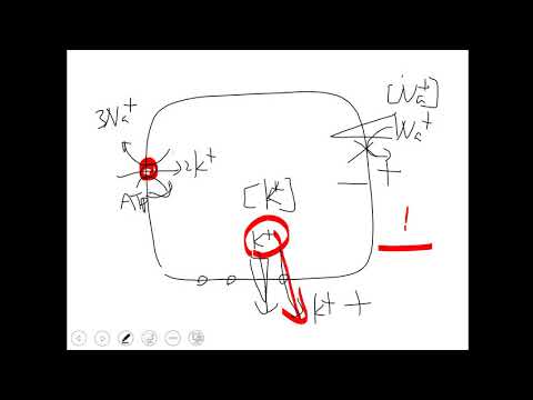 10801高三選修生物ch09 2 09動作電位的產生與維持三儉
