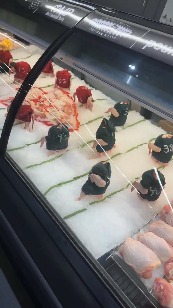 Grocery Store's Chicken Superbowl Display || ViralHog