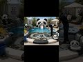 Restoring the Panda Pool 🐼💦 Amazing Transformation #shorts