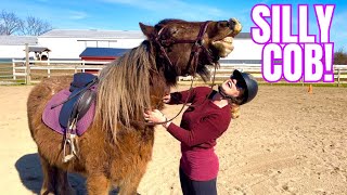 Another Saddle Experiment on My Gypsy Vanner Horse! Update on Mushu's Training by Free Spirit Equestrian 44,715 views 1 month ago 25 minutes