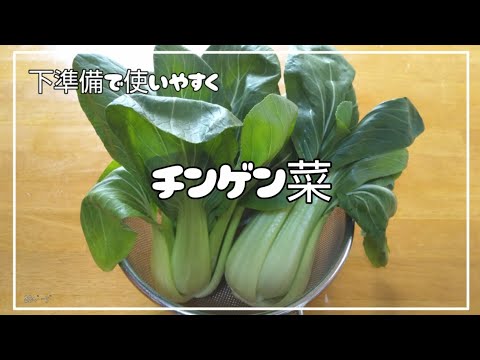 【チンゲン菜】下準備で使いやすく 時短に！(～保存まで)