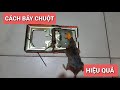 Cách bảy Chuột Hiệu Quả Đơn Giãn Tóm Gọn Cả Bầy