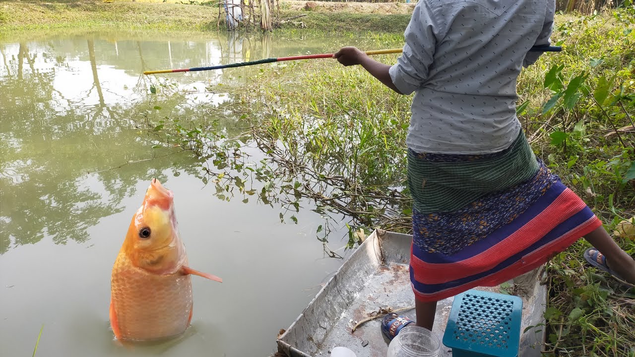 Amazing Fishing Videos 2022 - Hook Fishing - Best Hook Fisherman Nature Village