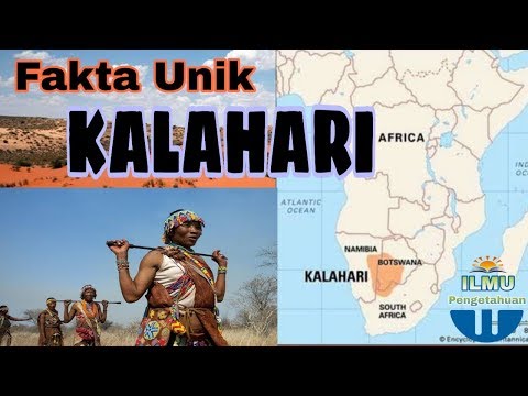 Video: Satu Malam Di Gurun Kalahari - Rangkaian Matador