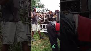 PPKS YANGAMBI, MOBIL KE 2