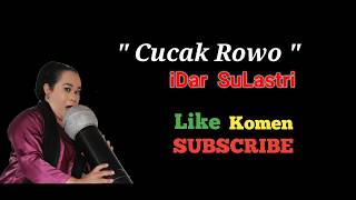 Download Lagu #CEUIDAR - CUCAK ROWO BODOR MP3 Download Lagu #CEUIDAR - CUCAK ROWO BODOR MP3