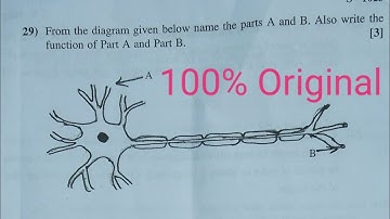 GSEB 2020 Class 10 Science Paper Solution (English Medium)