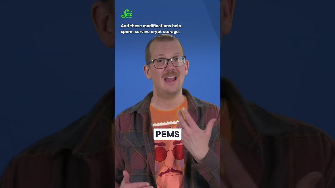 How Long Does Sperm REALLY Live Science Scishow STEM Hankgreen