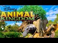 Previewing Animals At Disney&#39;s Animal Kingdom For Your 2024 Trip