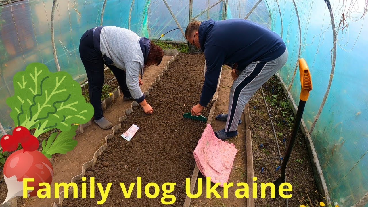 Посадили редиску в теплицу #familyvlog