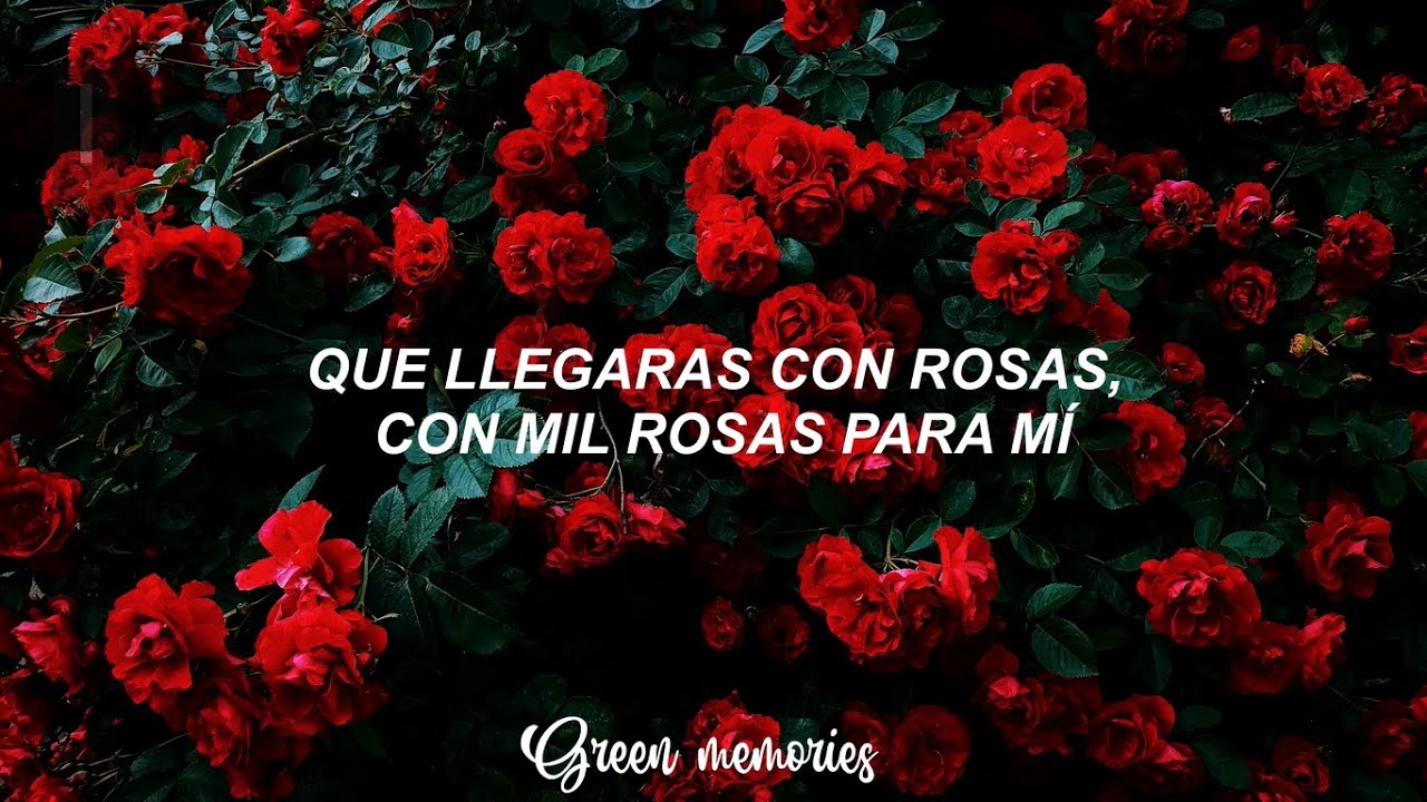 La Oreja de Van Gogh - Rosas (Letra) || por eso esperaba con la carita