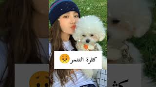 سلبيات العيش في كوريا الجنوبية