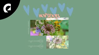 softboy. - Creepin' Weekend