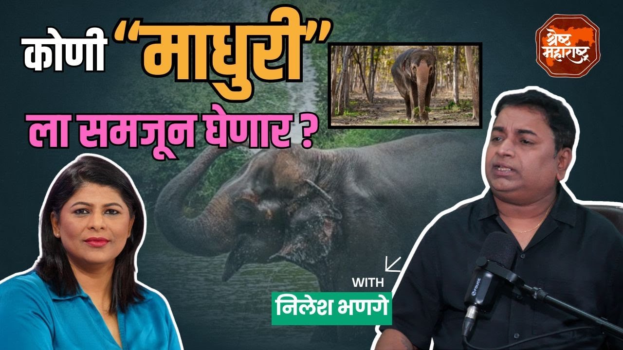 Podcast Madhuri Elephant : कोणी “माधुरी”ला समजून घेणार?